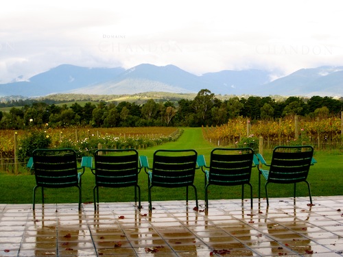 Paris-style chairs at Domaine Chandon, Yarra Valley, Australia Paris-style chairs at Domaine Chandon, Yarra Valley, Australia