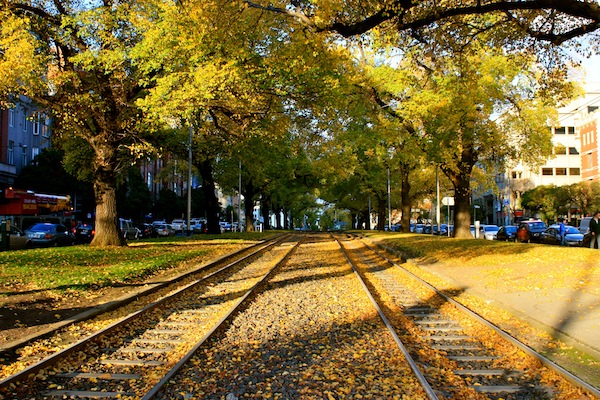 Autumn on the tram tracks in Melbourne, Australia