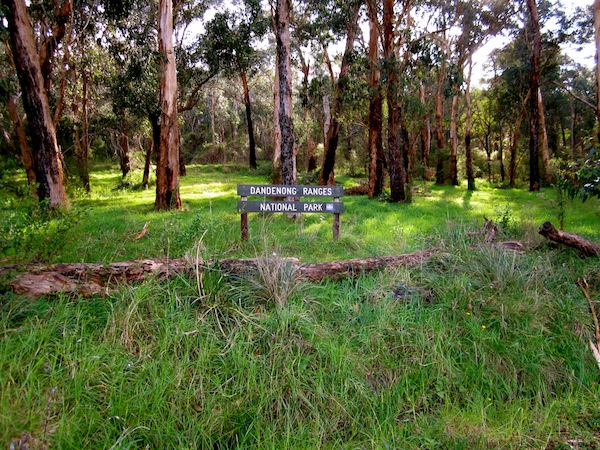 Dandenong Ranges National Park, Melbourne, Australia Dandenong Ranges National Park, Melbourne, Australia
