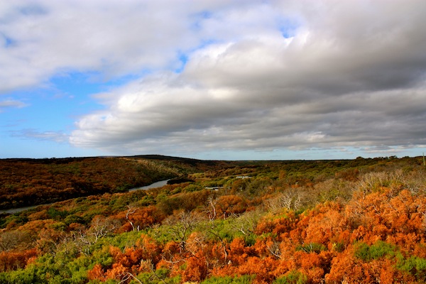 Margaret River beautiful colors at dusk, Western Australia Margaret River beautiful colors at dusk, Western Australia