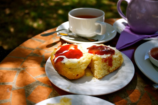 Lavender tea and scones at Cape Lavender Farm, Margaret River, Western Australia Lavender tea and scones at Cape Lavender Farm, Margaret River, Western Australia