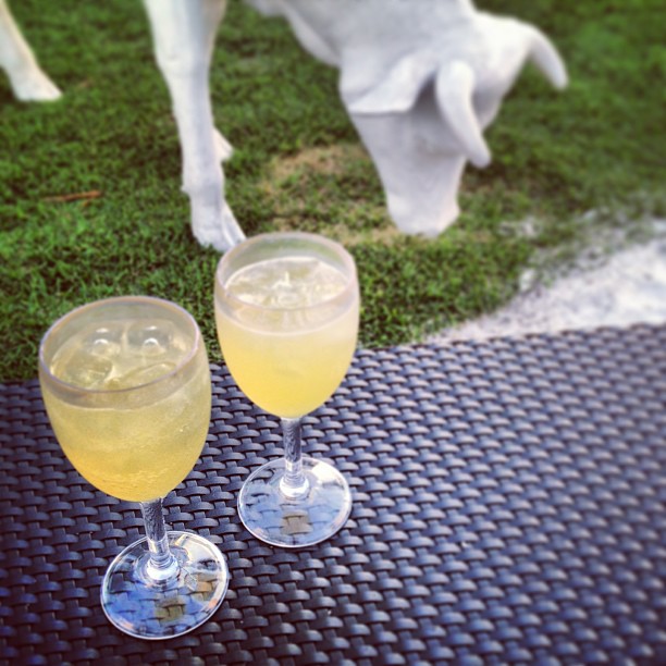 Vodka cider cocktails with Lady Gaga at Surfcomber Kimpton in Miami Beach, Florida Vodka cider cocktails with Lady Gaga at Surfcomber Kimpton in Miami Beach, Florida