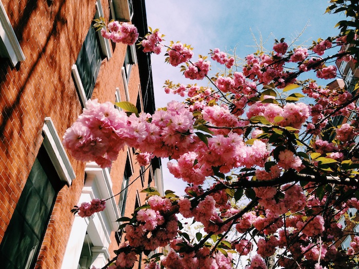 Postcard from New York in the spring C'est Christine