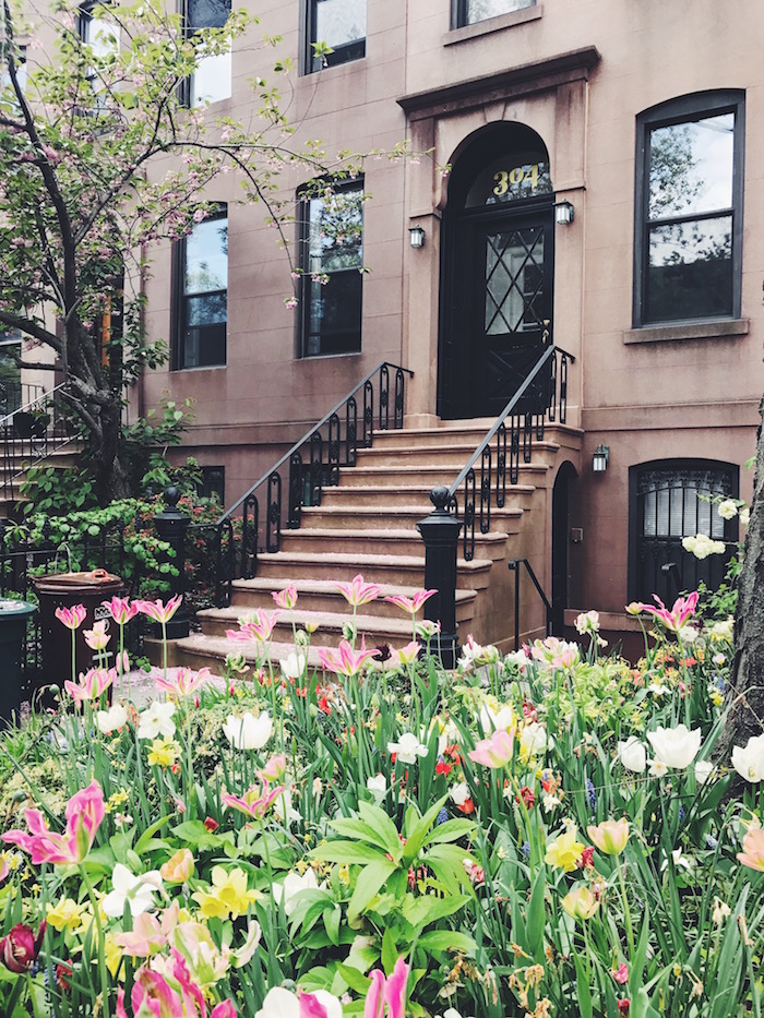 Flowers in front yard of Carroll Gardens brownstone in Brooklyn