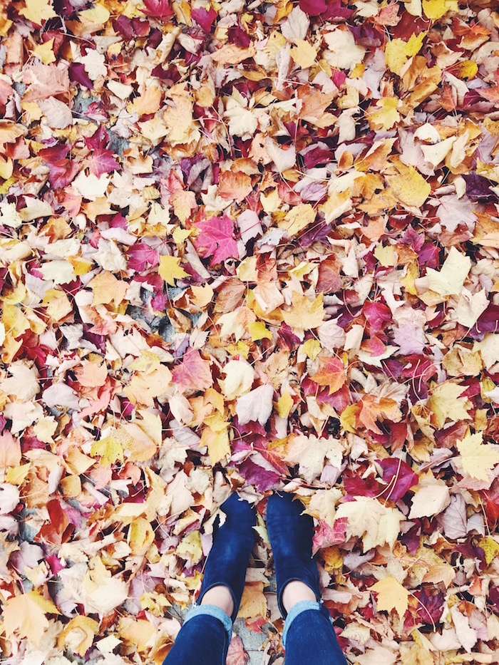 Loeffler Randall boots in fall foliage in Portland