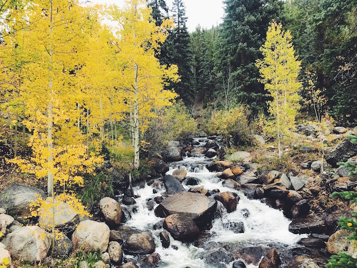 Fall colors outside of Denver, Colorado