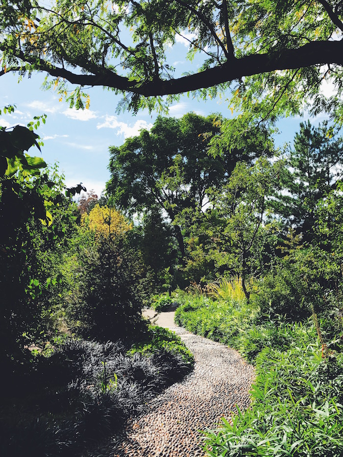 Denver Botanic Garden in the fall