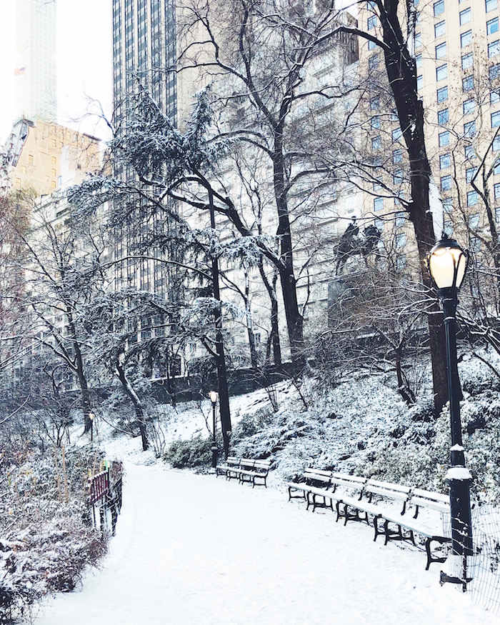 Central Park in the snow