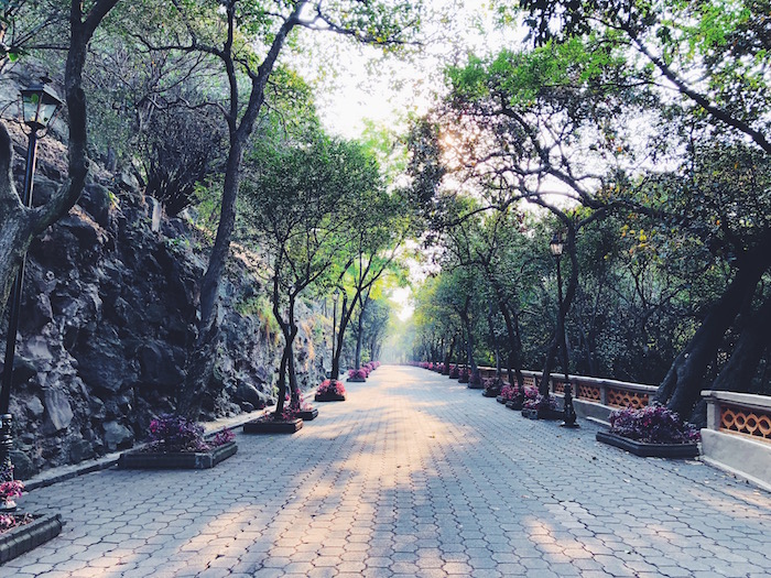 Bosque de Chapultepec in Mexico City