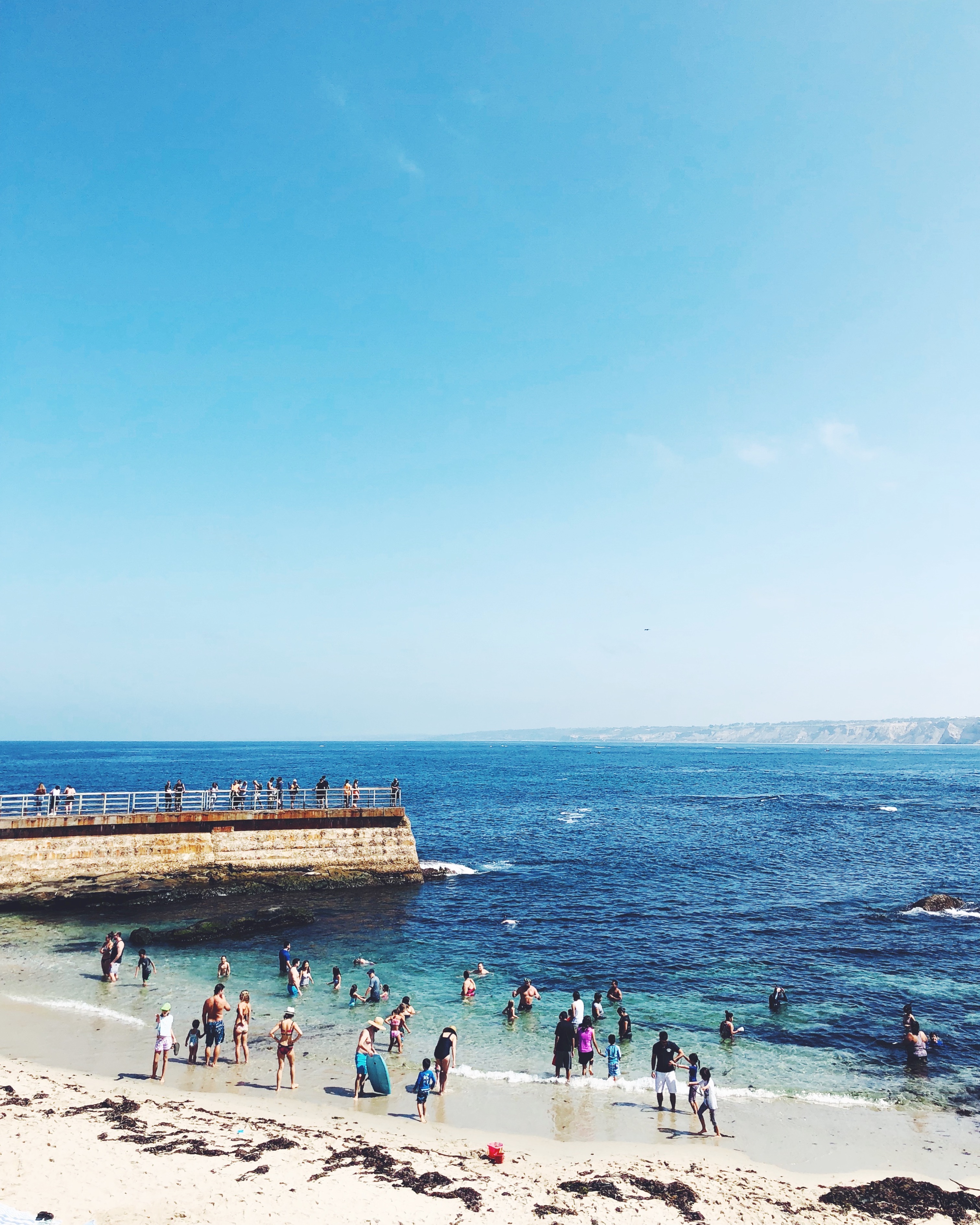 Childrens Pool in La Jolla, San Diego