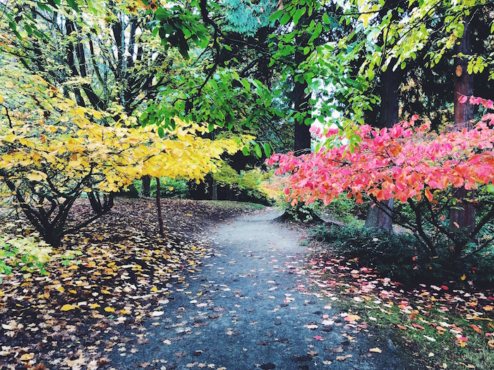 Washington Park Arboretum in Seattle